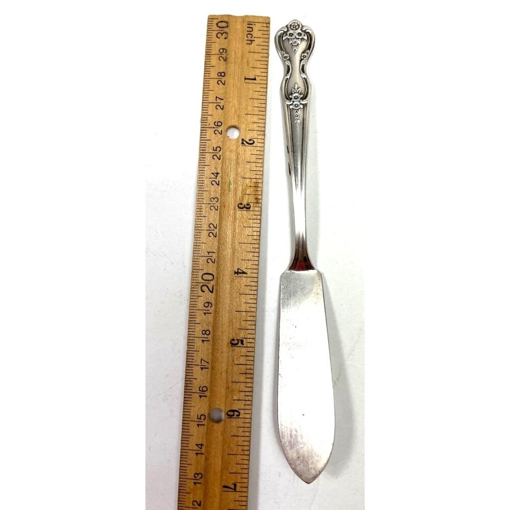 Wm A Rogers Oneida FENWAY DAYDREAM Master Butter Knife stainless silverware 8R